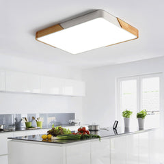 Modern Rectangle LED Flush Mount Ceiling Light