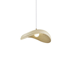 Unique Layered Shape Curved Pendant Light