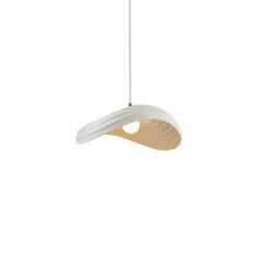 Unique Layered Shape Curved Pendant Light